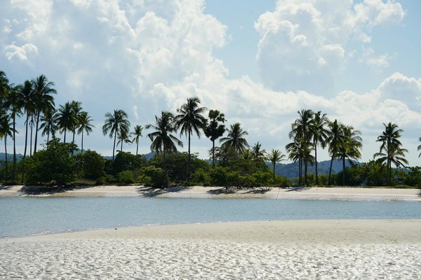 Comment organiser une croisière pour découvrir les îles tropicales en Indonésie?