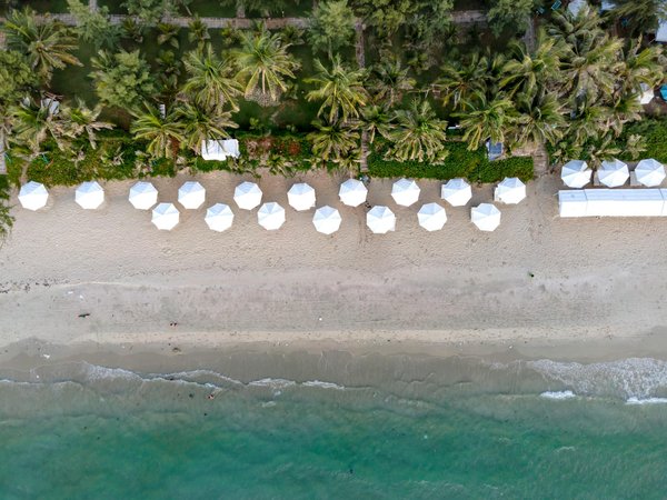 Quels sont les meilleurs spots pour une plongée sous-marine avec les requins-marteaux dans les îles Galápagos : conseils et équipements ?